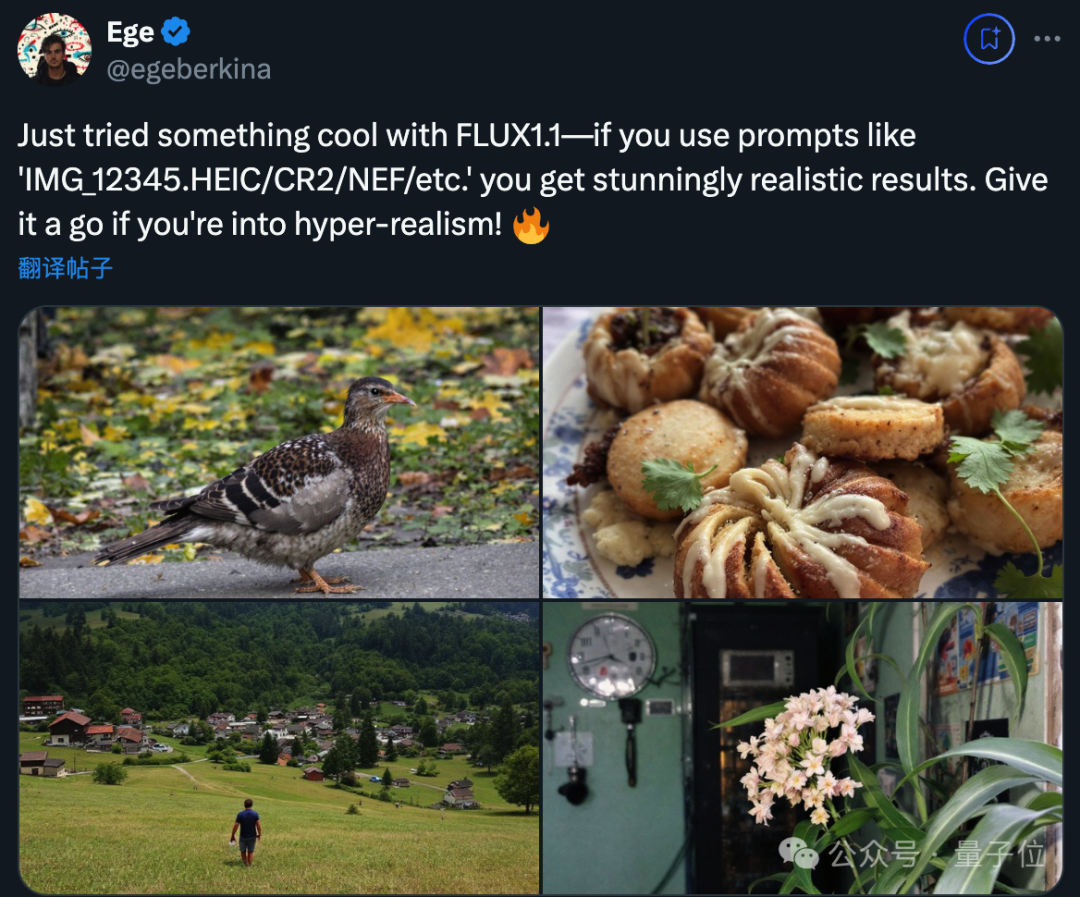 最新 AI 生图模型 Flux1.1 隐藏玩法，添加单反相机文件名获得超写实图像