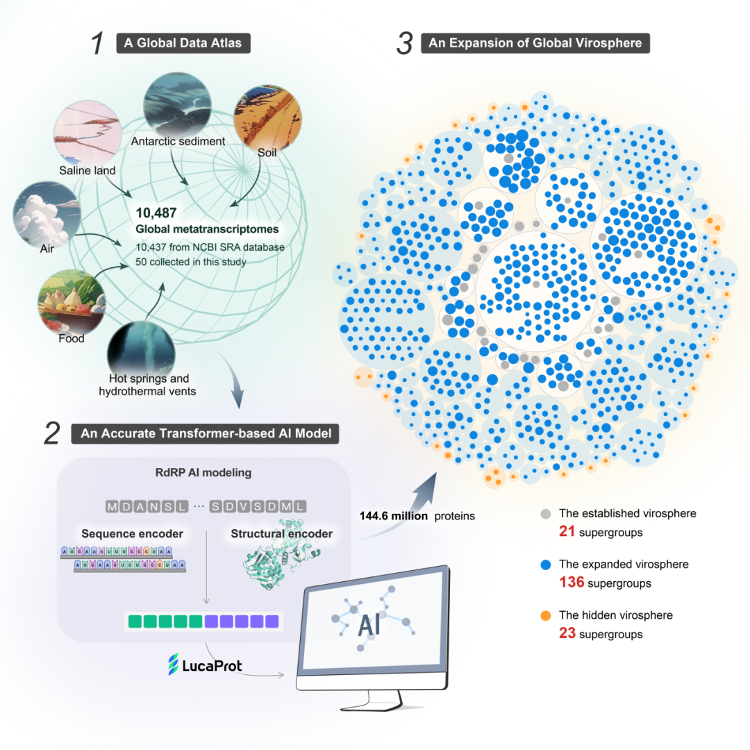 中国科学家运用人工智能算法发现大量全新 RNA 病毒，大幅拓宽 RNA 病毒库