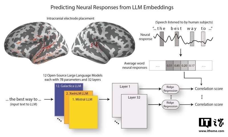 美国哥伦比亚大学研究:大语言模型正在变得越来越像人类大脑 美国哥伦比亚大学研究:大语言模型正在变得越来越像人类大脑