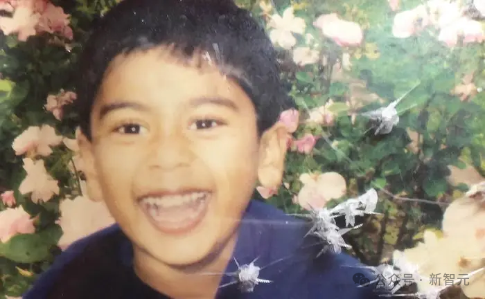 吹哨人之死：26 岁 OpenAI 举报人离奇自杀，一个月后官方首次回应