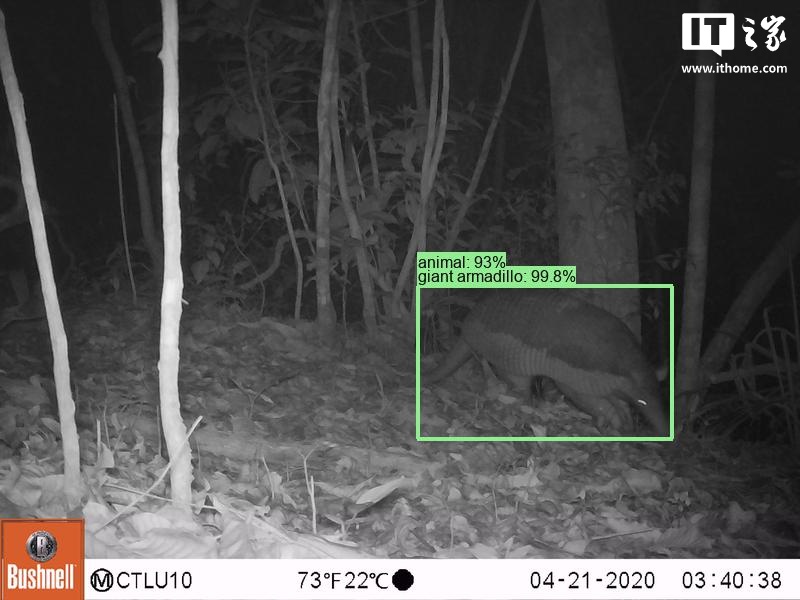 谷歌开源物种识别 AI 模型 SpeciesNet,助力野生动物研究 谷歌开源物种识别 AI 模型 SpeciesNet,助力野生动物研究