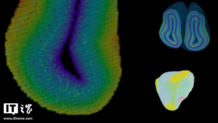 微软与瑞士初创公司 inait 合作，部署模拟大脑的人工智能模型