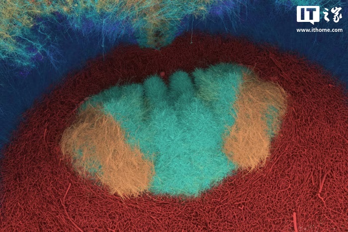 微软与瑞士初创公司 inait 合作，部署模拟大脑的人工智能模型