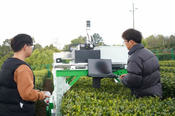 重庆邮电大学朱浩教授团队研发采茶机器人：2 秒采摘一片叶