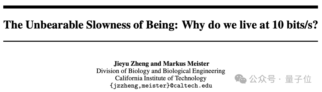 人类一生所学不过 4GB，加州理工顶刊新研究引热议