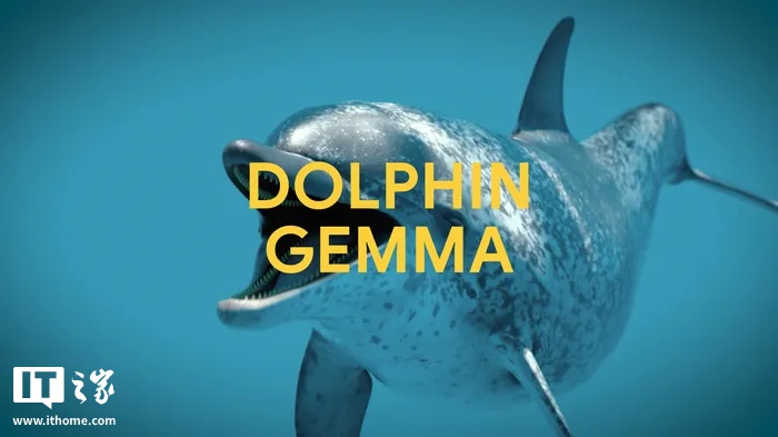 谷歌 DeepMind 开发 DolphinGemma AI 模型,助力海豚“语言”研究 谷歌 DeepMind 开发 DolphinGemma AI 模型,助力海豚“语言”研究