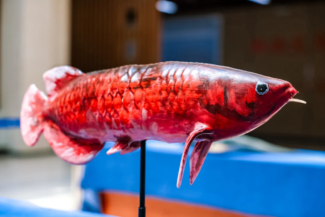 智能软体仿生观赏鱼“金鳞”亮相，在水族馆、公园有望“以假乱真”