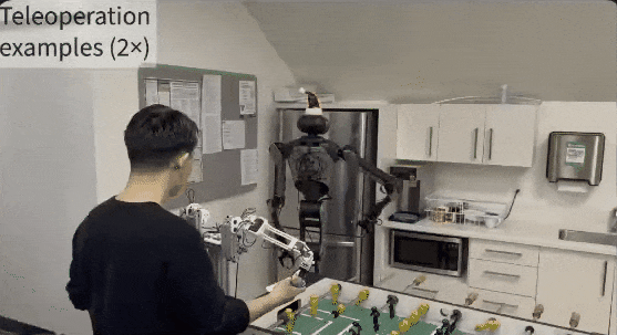 李飞飞团队具身智能新作：500 美元，一切家务机器人帮你干